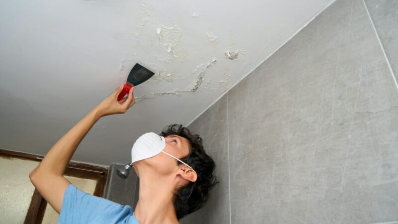 Young man fixing damp and saltpeter problem on the wall and ceiling